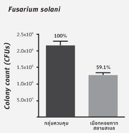 แสดงการต่อต้านเชื้อราของเมือกจากหอยทากนวล ซึ่งเป็นคุณสมบัติเด่นของหอยทากชนิดนี้